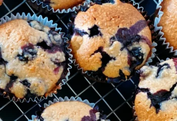 Blueberry Protein Muffins